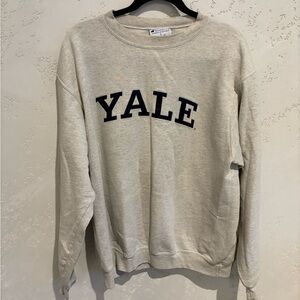 Vintage Champion Light Gray Crewneck Sweater